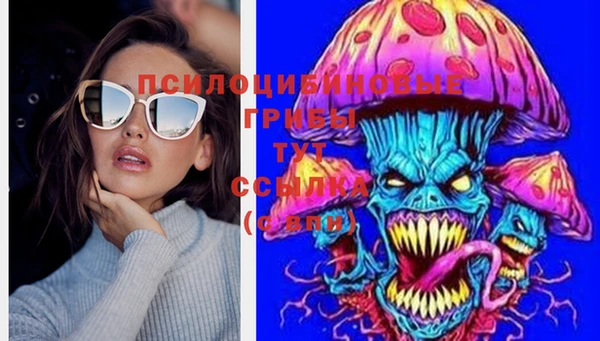 гашик Абдулино