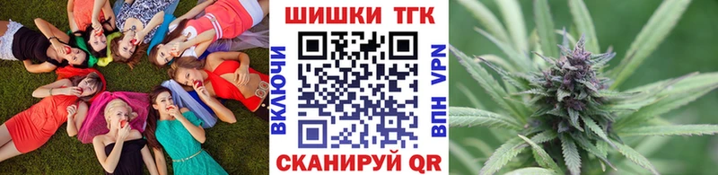 Бошки Шишки SATIVA & INDICA  дарк нет наркотические препараты  Тбилисская 